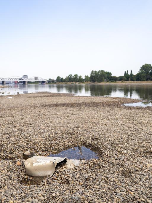 Extremes Niedrigwasser am Rhein in Mannheim und Ludwigshafen. Extremes Niedrigwasser am Rhein in Mannheim und Ludwigshafen.