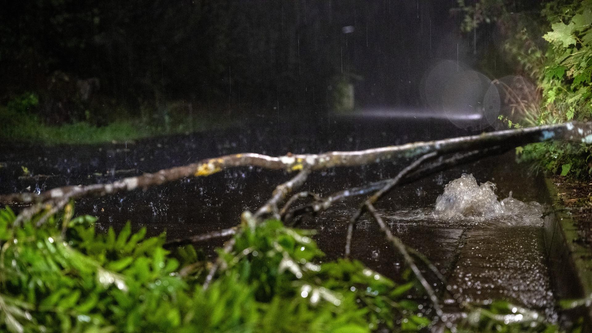 Ein abgebrochener Ast liegt auf einer Straße, aus einem Abflussschlacht sprudelt das Wasser. An der Bergstraße in Heldburg konnte die Kanalisation die Wassermassen zeitweise nicht mehr aufnehmen. Ein abgebrochener Ast liegt auf einer Straße, aus einem Abflussschlacht sprudelt das Wasser. An der Bergstraße in Heldburg konnte die Kanalisation die Wassermassen zeitweise nicht mehr aufnehmen.
