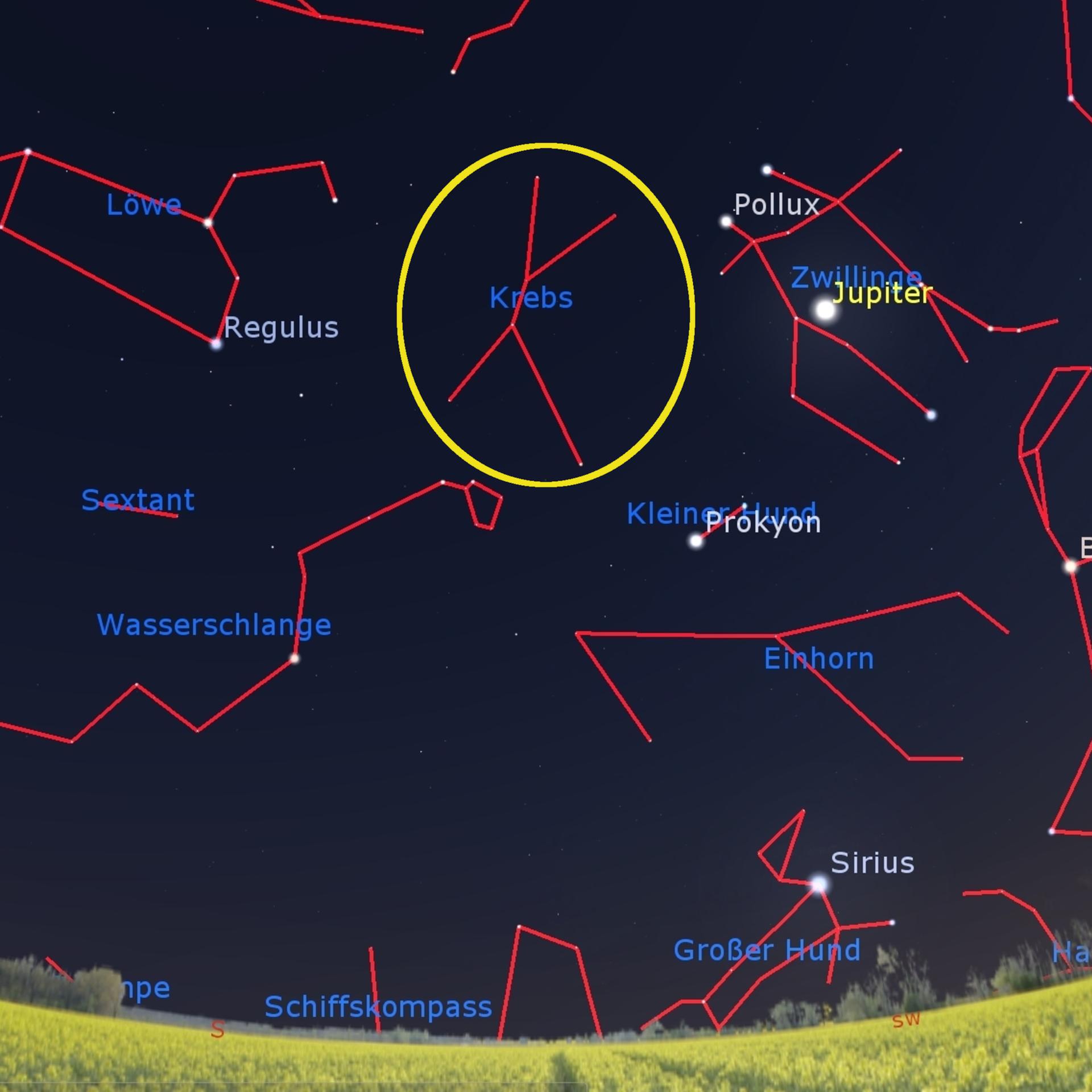 Tierkreissternbild - Der Krebs, zertreten und sehr leuchtschwach