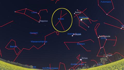 Der Krebs, ein klassisches Sternbild der Antike, lässt sich am Abendhimmel zwischen Zwillingen und Löwe erahnen. (Stellarium)
