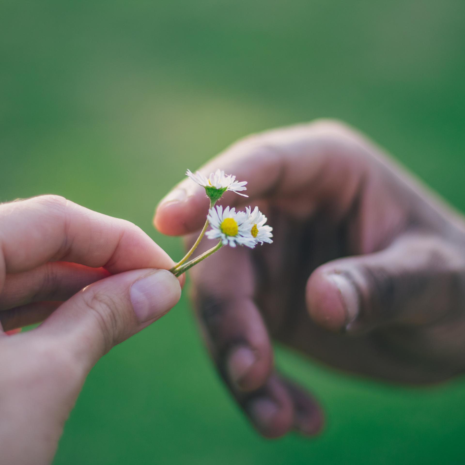 Konflikte lösen - Worauf es beim Verzeihen ankommt