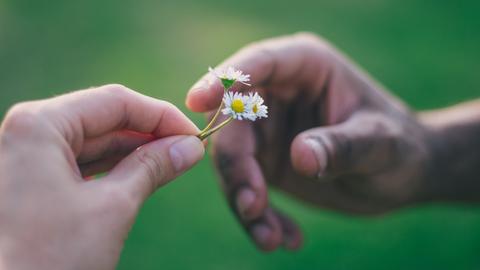 Nahaufnahme zweier Hände, die einen kleinen Bund Gänseblümchen übergeben.