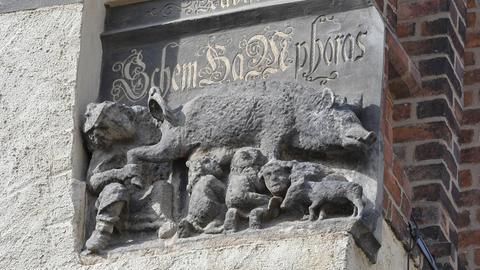 Antisemitisches Relief, die sogenannte "Judensau"-Skulptur an der evangelischen Stadtkirche in Wittenberg.