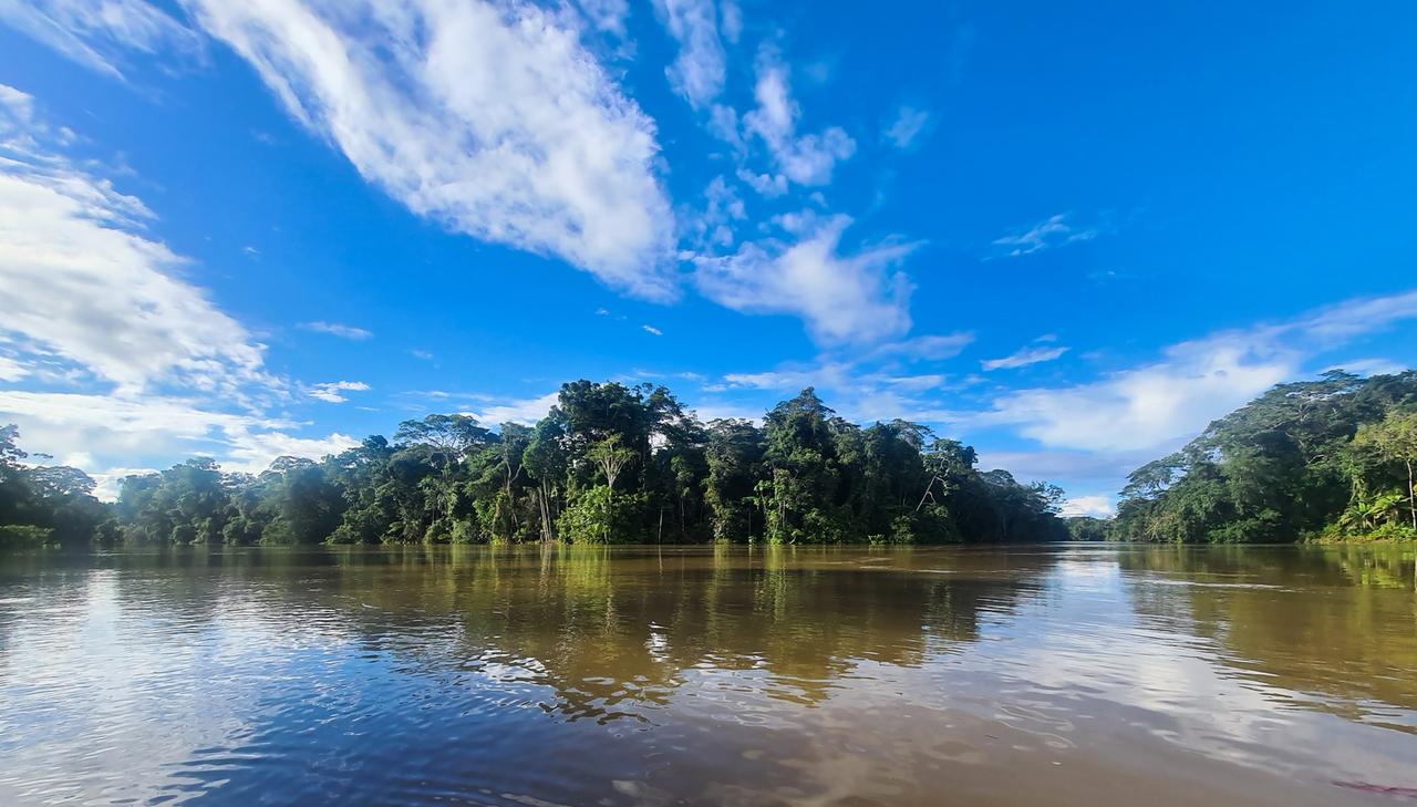 Blick auf den Fluss Río Napo im Amazonas