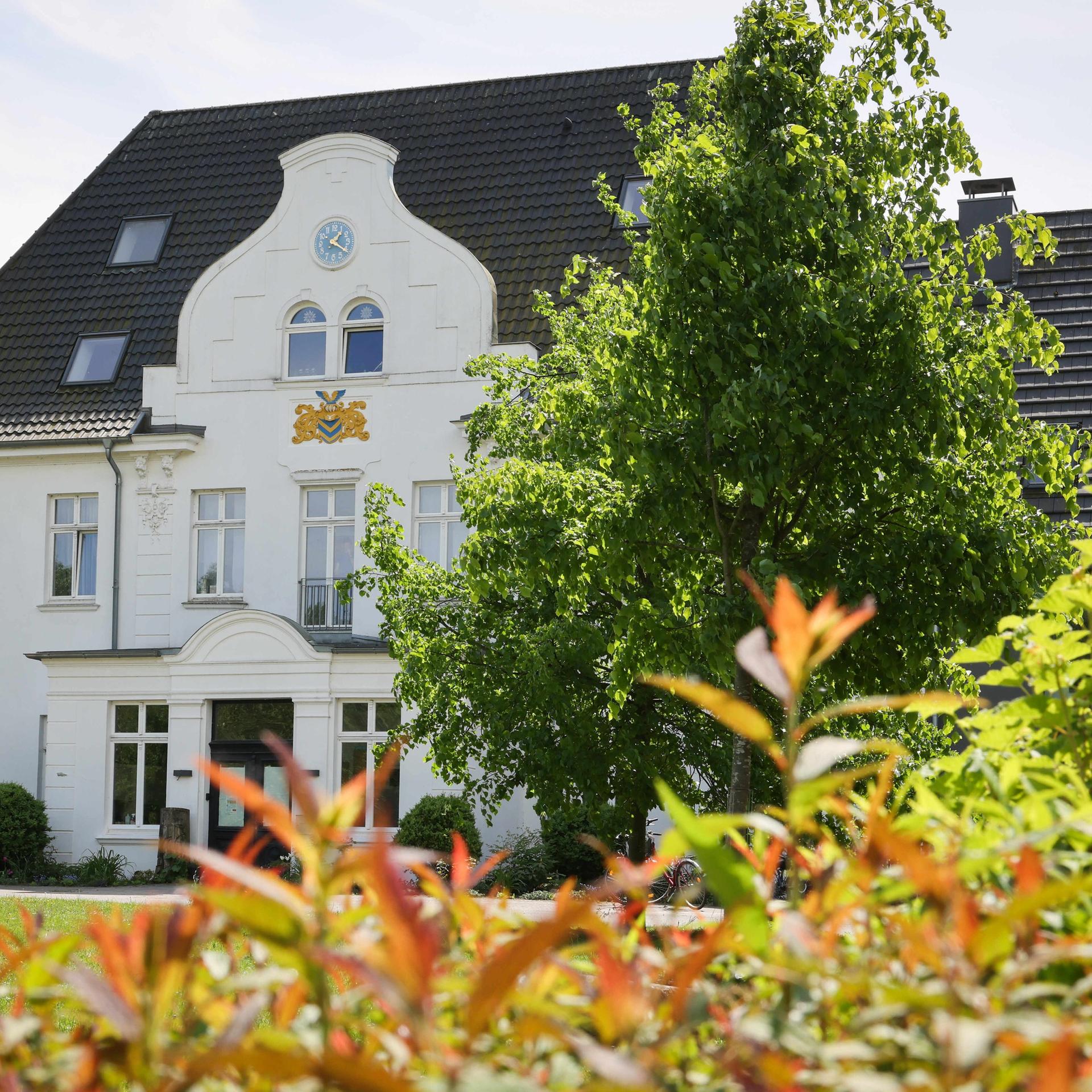 Pädagogik - Freie Schulen - Idealismus oder Ideologie?