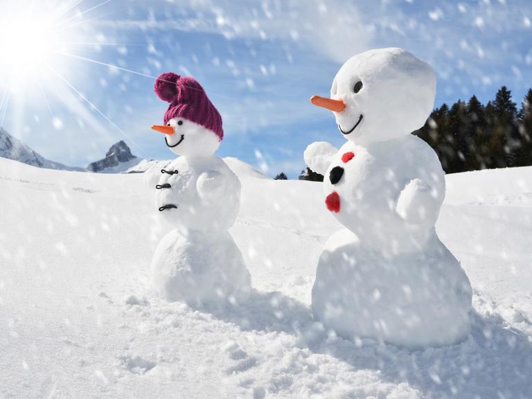 Pair of funny snowmen (happyalex)