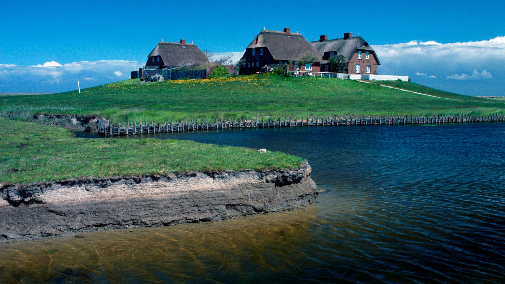 Westerwarft auf der Hallig Hooge, Nationalpark Wattenmeer