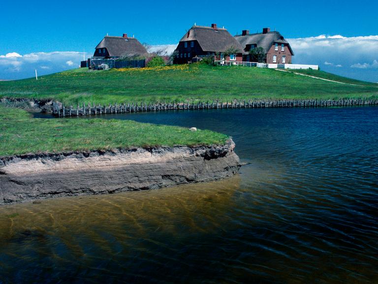 Westerwarft auf der Hallig Hooge, Nationalpark Wattenmeer