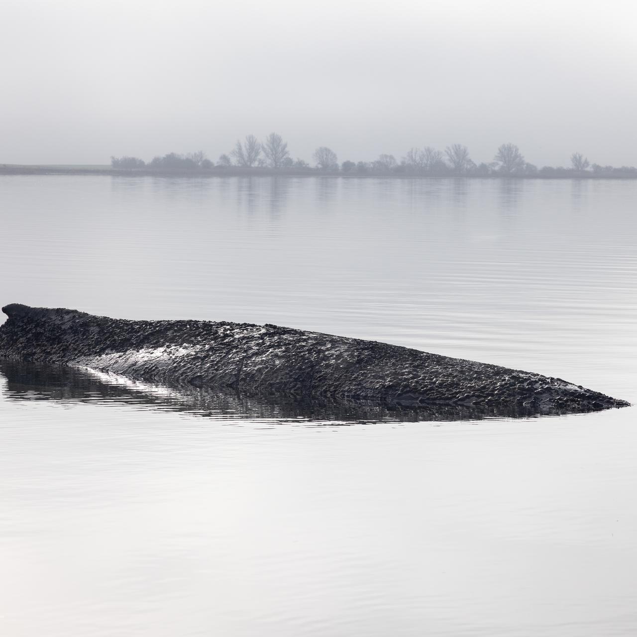Natur-Drama - Bundesumweltministerium: 