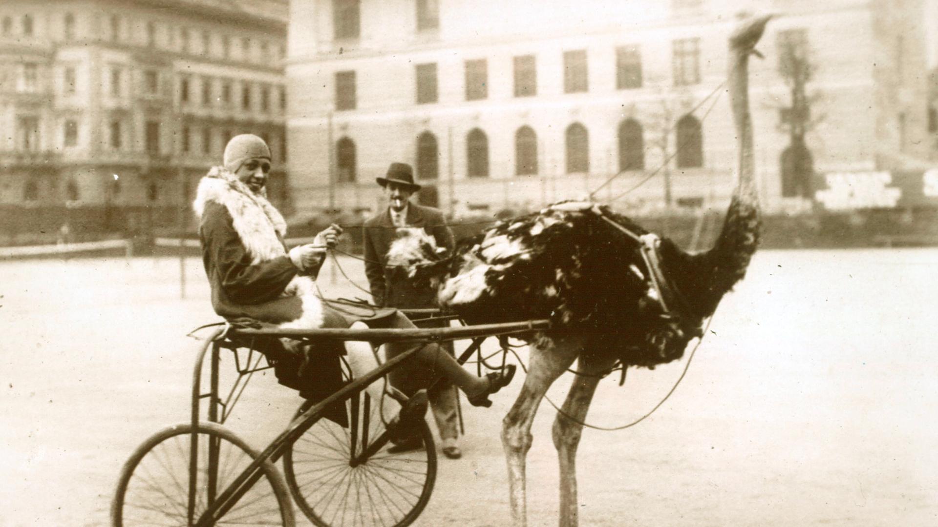Die Tänzerin Josephine Baker im Straussengespann während ihres Gastspiels in Berklin, 1926 