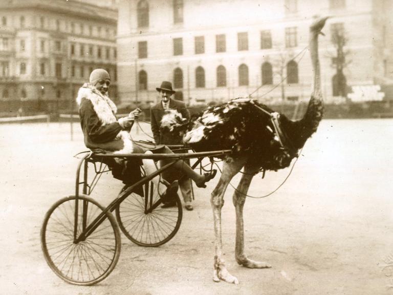 Die Tänzerin Josephine Baker im Straussengespann während ihres Gastspiels in Berklin, 1926 