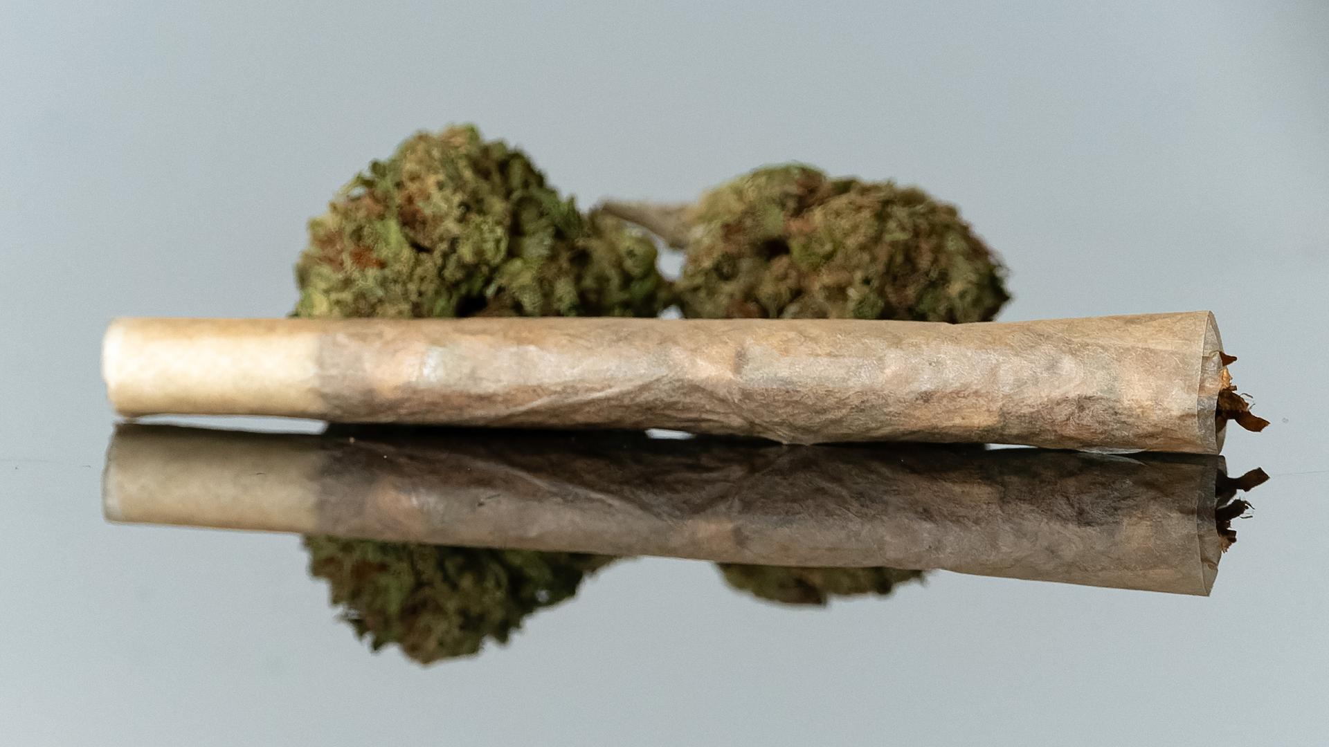 Ein Joint liegt zusammen mit Marihuana auf einer Glasplatte.