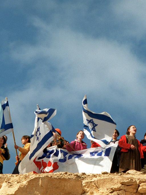 Junge jüdische Siedler schwenken israelische Flaggen auf einem Hügel in der Nähe einer illegalen Siedlung in der Westbank.
