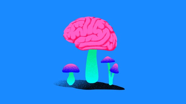 Die Illustration zeigt ein pilzförmiges Gehirn, darunter drei kleinere Pilze Die Illustration zeigt ein pilzförmiges Gehirn, darunter drei kleinere Pilze
