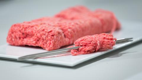 Das Hackfleisch ähnelnde Exponat "Bistro in Vitro" (2014) von Next Nature Network in der Ausstellung "Kreaturen nach Maß - Tiere und Gegenwartsdesign" im Museum Marta. 
