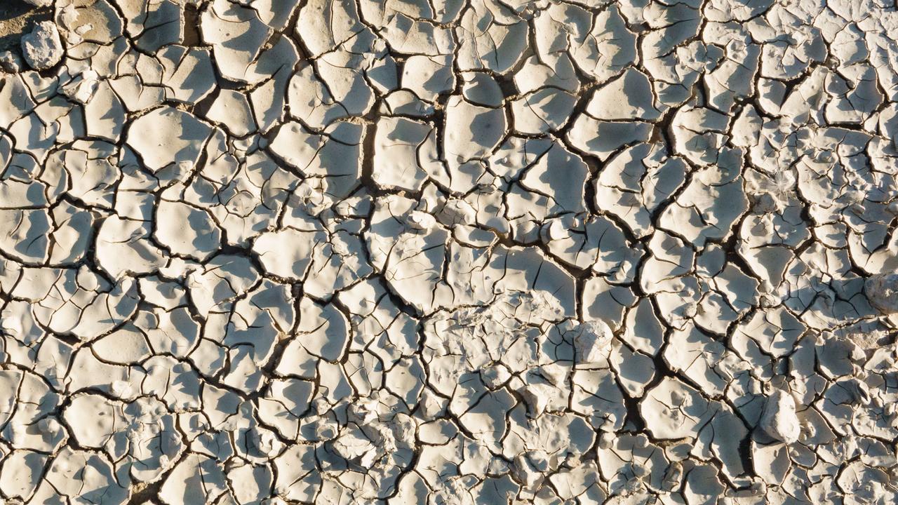 Dürre trotz Regen - Trockenheit im tiefen Boden behindert ...