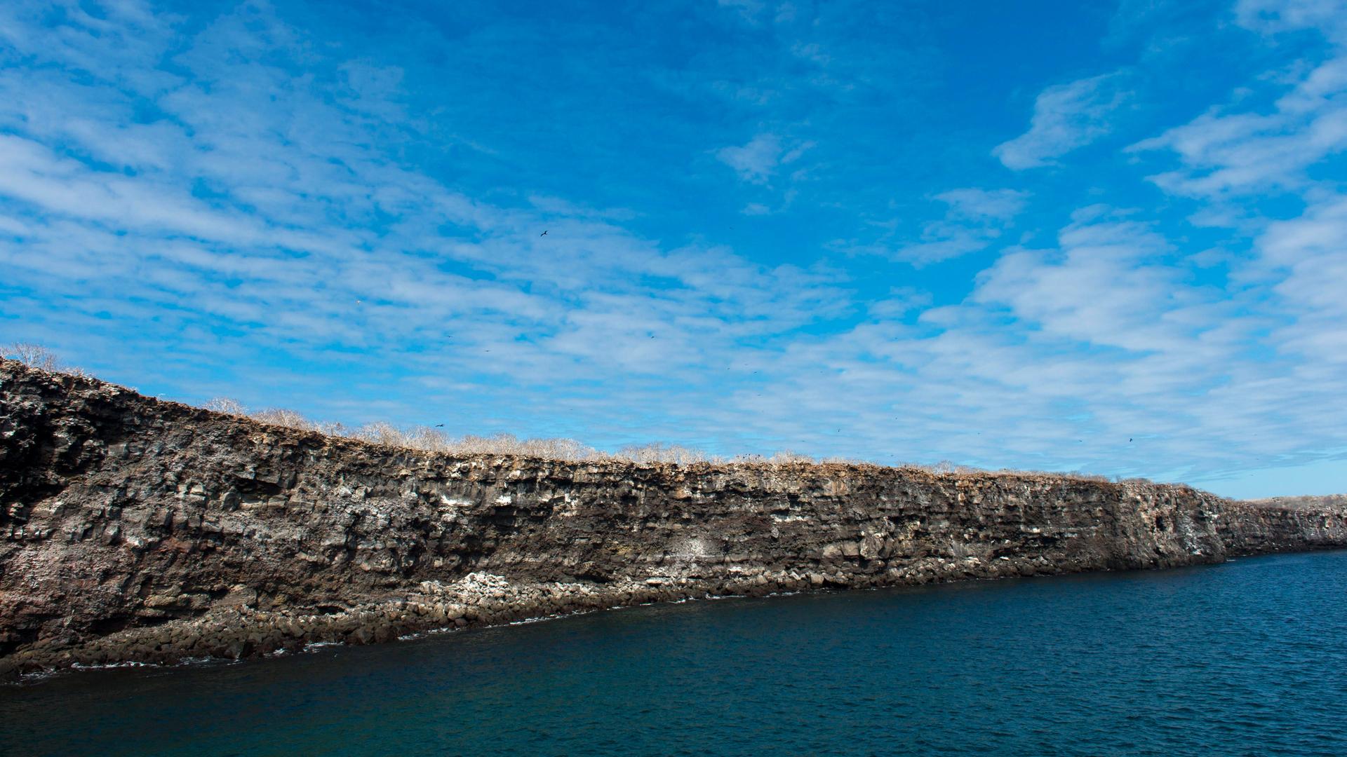 Insel Genovesa auf Galápagos, Ecuador.
