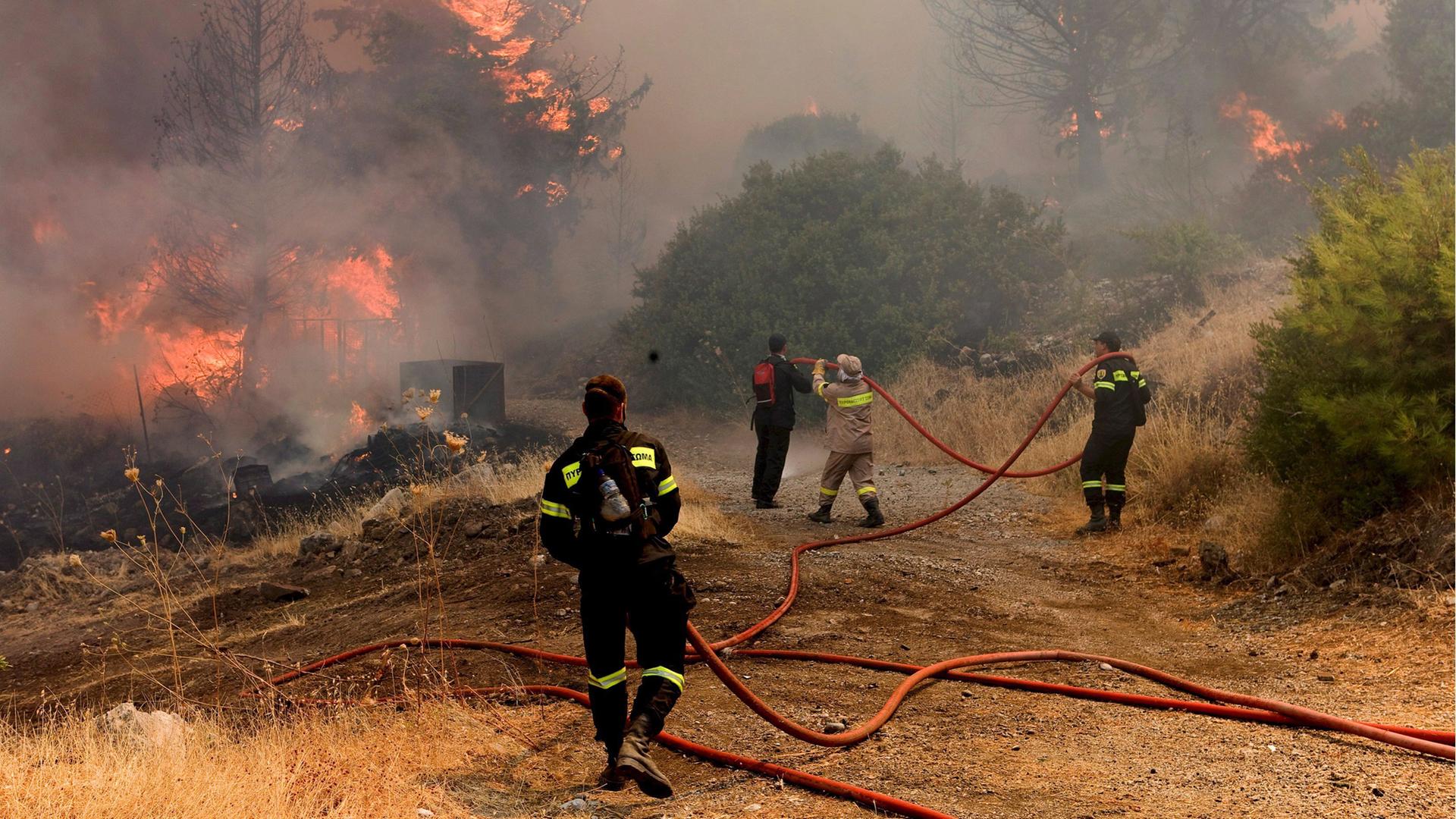 Feuerwehrleute versuchen einen Waldbrand auf der griechischen Insel Rhodos zu löschen  