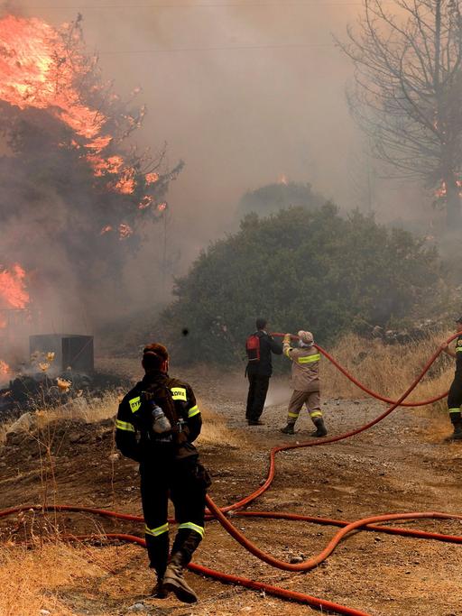 Feuerwehrleute versuchen einen Waldbrand auf der griechischen Insel Rhodos zu löschen  