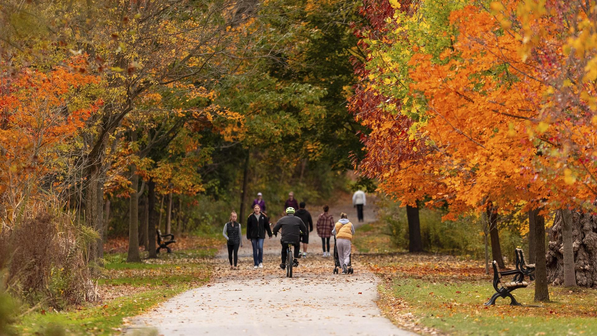 Menschen schlendern einen Parkweg entlang, umgeben von leuchtenden Herbstbäumen