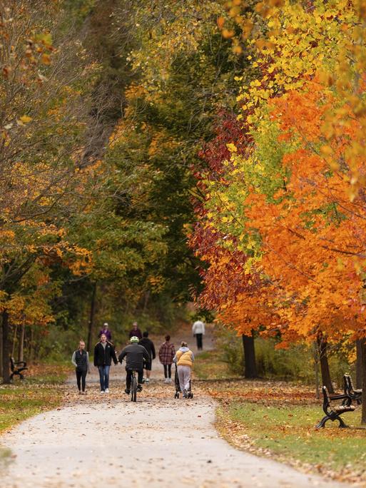 Menschen schlendern einen Parkweg entlang, umgeben von leuchtenden Herbstbäumen