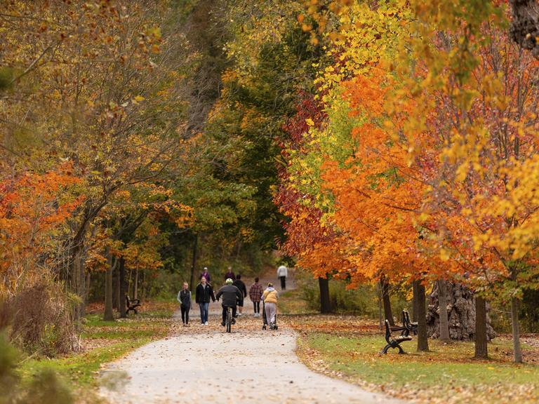 Menschen schlendern einen Parkweg entlang, umgeben von leuchtenden Herbstbäumen
