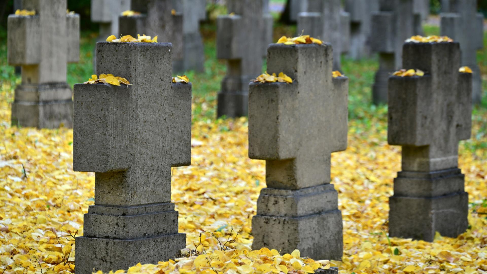 Die gleichförmigen Steinkreute stehen in mehreren Reihen auf einem von Laub bedeckten Rasen. Die gleichförmigen Steinkreute stehen in mehreren Reihen auf einem von Laub bedeckten Rasen.