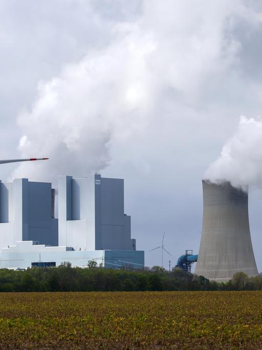 Hinter einer grünen Wiese steht das RWE-Kraftwerk in Grevenbroich mit Kühltürmen aus denen Rauch in den Himmel steigt. Davor und dahinter stehen Windräder.