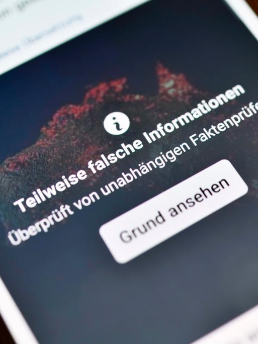 Smartphone mit aufgedeckter Falschinformation in einem sozialen Netzwerk