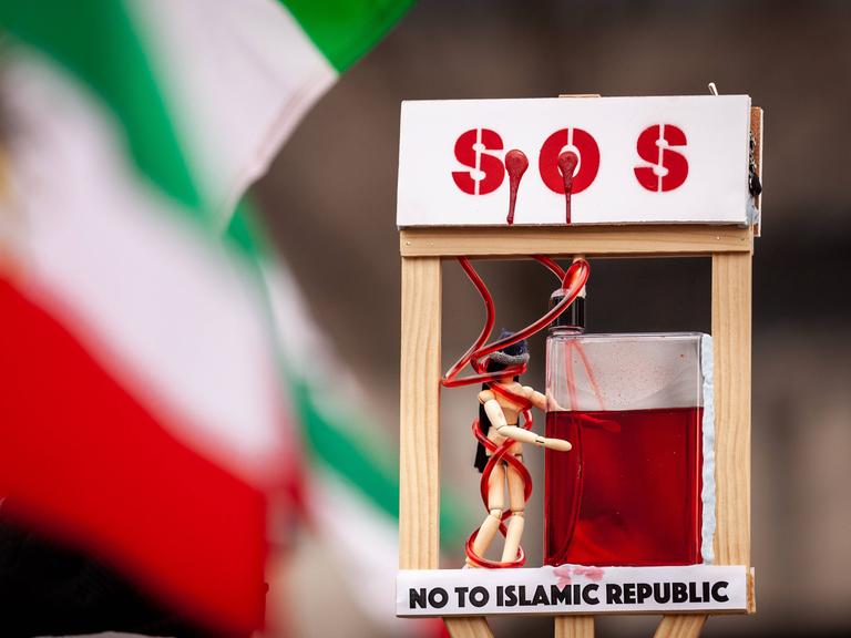 Auf einer Demonstration in Washington gegen die iranische Regierung haben Teilenehmende ihrem Zorn mit Plakaten und Darstellungen Ausdruck verliehen 