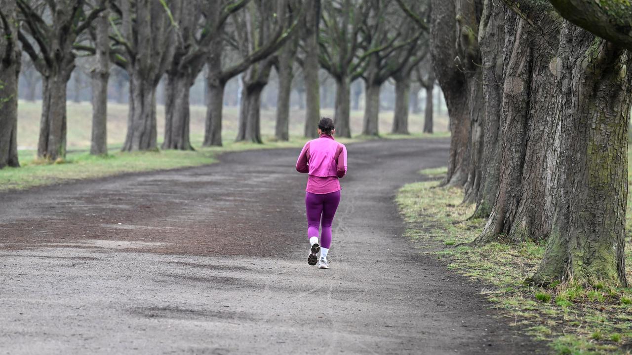 Eine Joggerin nutzt die Morgenstunden zu einem Lauf durch eine Kastanienallee.