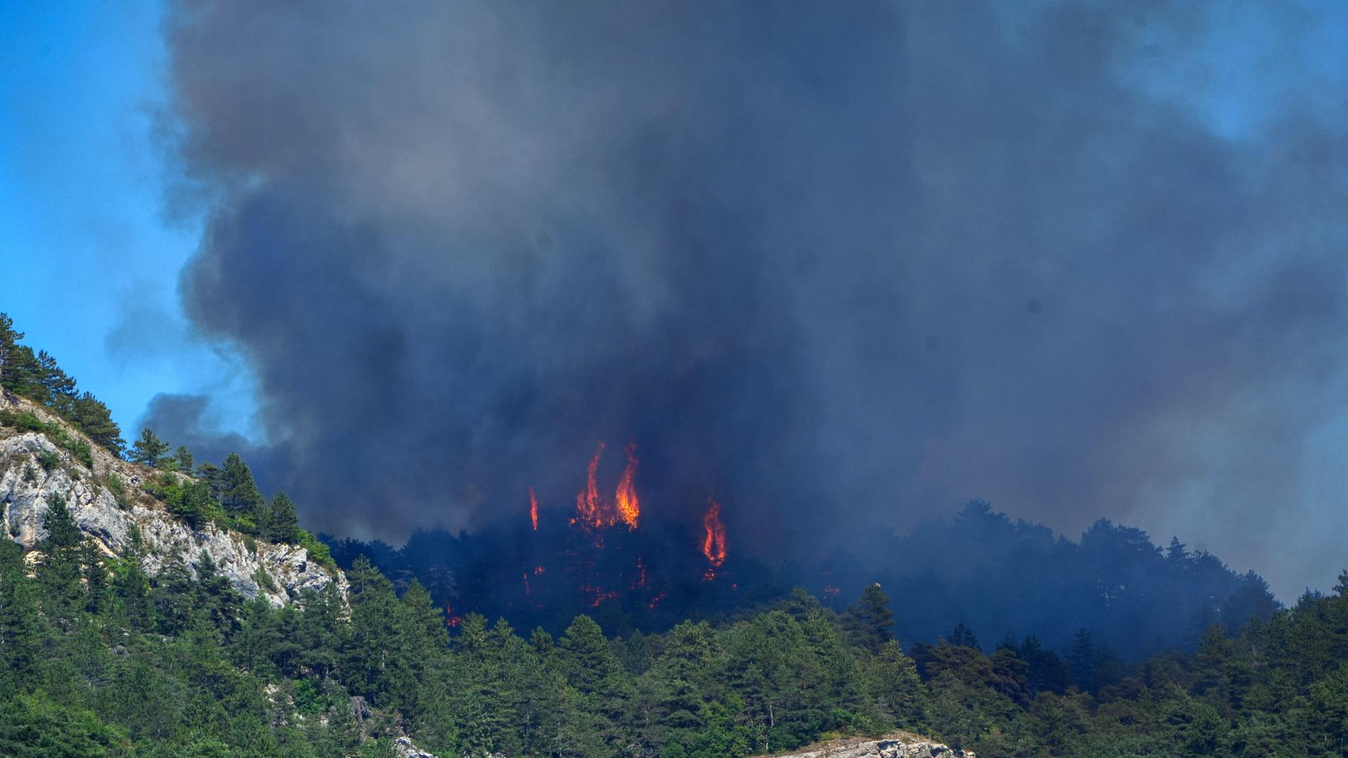 Flammen schlagen von Pinienbäumen in Barsac in Frankreich hoch und verursachen eine große Rauchwolke. Flammen schlagen von Pinienbäumen in Barsac in Frankreich hoch und verursachen eine große Rauchwolke.