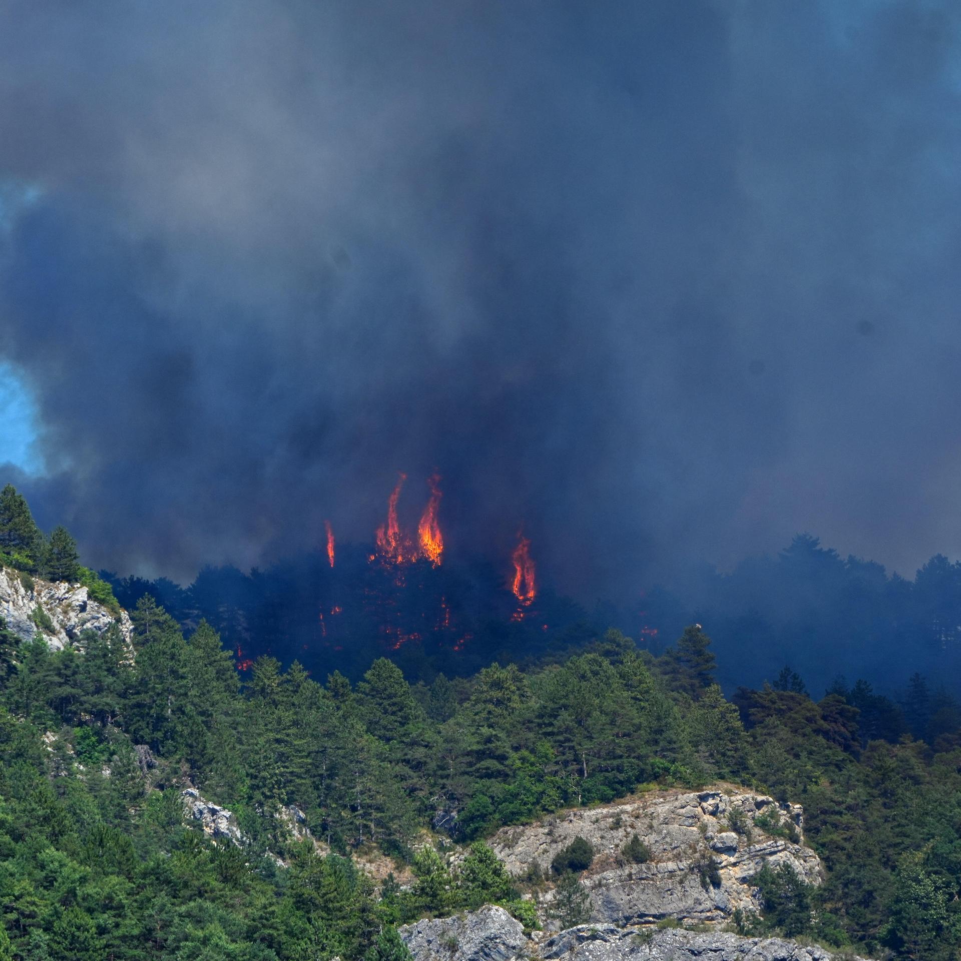 Flammen schlagen von Pinienbäumen in Barsac in Frankreich hoch und verursachen eine große Rauchwolke.