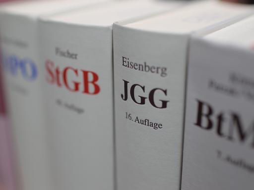 Gesetzesbuecher stehen nebeneinander. Der Fokus liegt auf dem JGG, Jugendgerichtsgesetz.