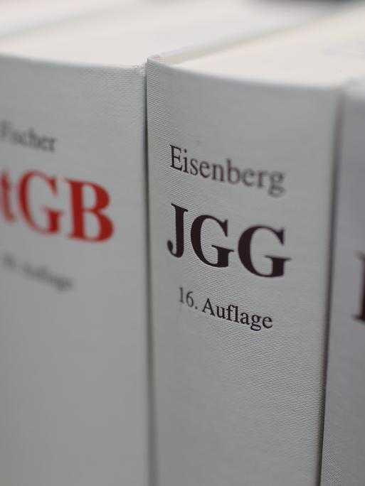 Gesetzesbuecher stehen nebeneinander. Der Fokus liegt auf dem JGG, Jugendgerichtsgesetz.
