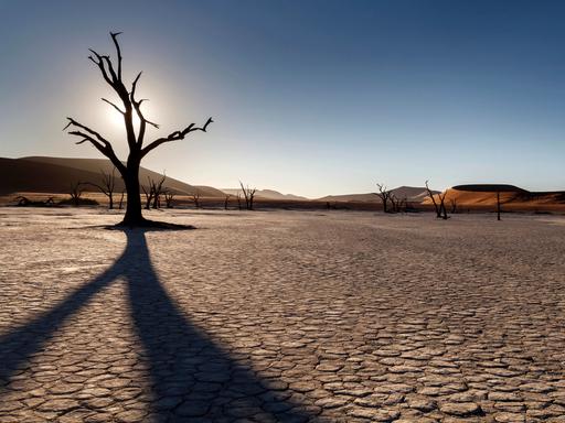 Ein abgestorbener Baum gegen die Sonne fotografiert im Namib-Naukluft-Park, Namibia, Afrika
