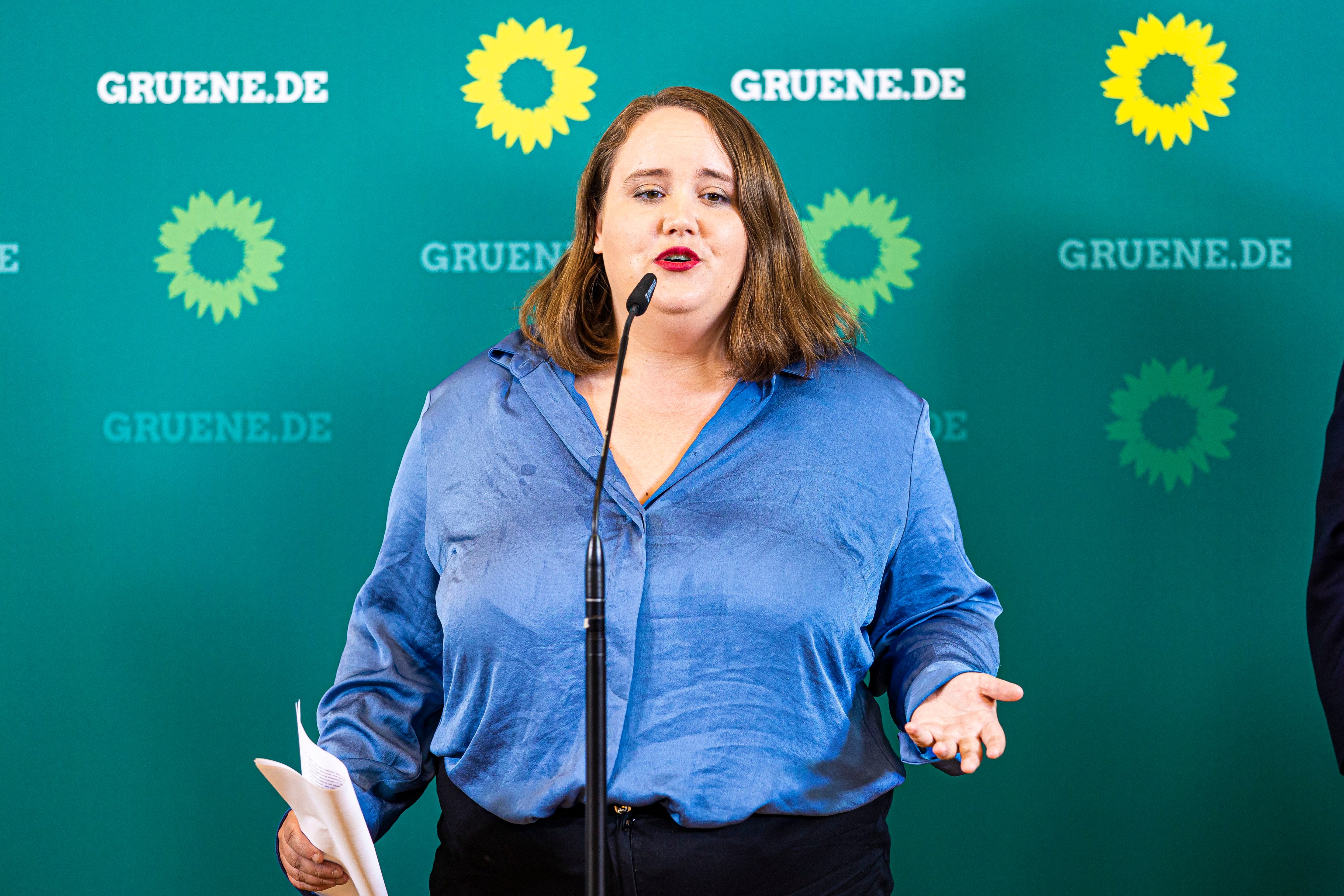 Рикарда ланг. Рикарда. Фриланд. Рязань конкурс скрипачей имени бобылева. Рикарда ланг партия зеленых.