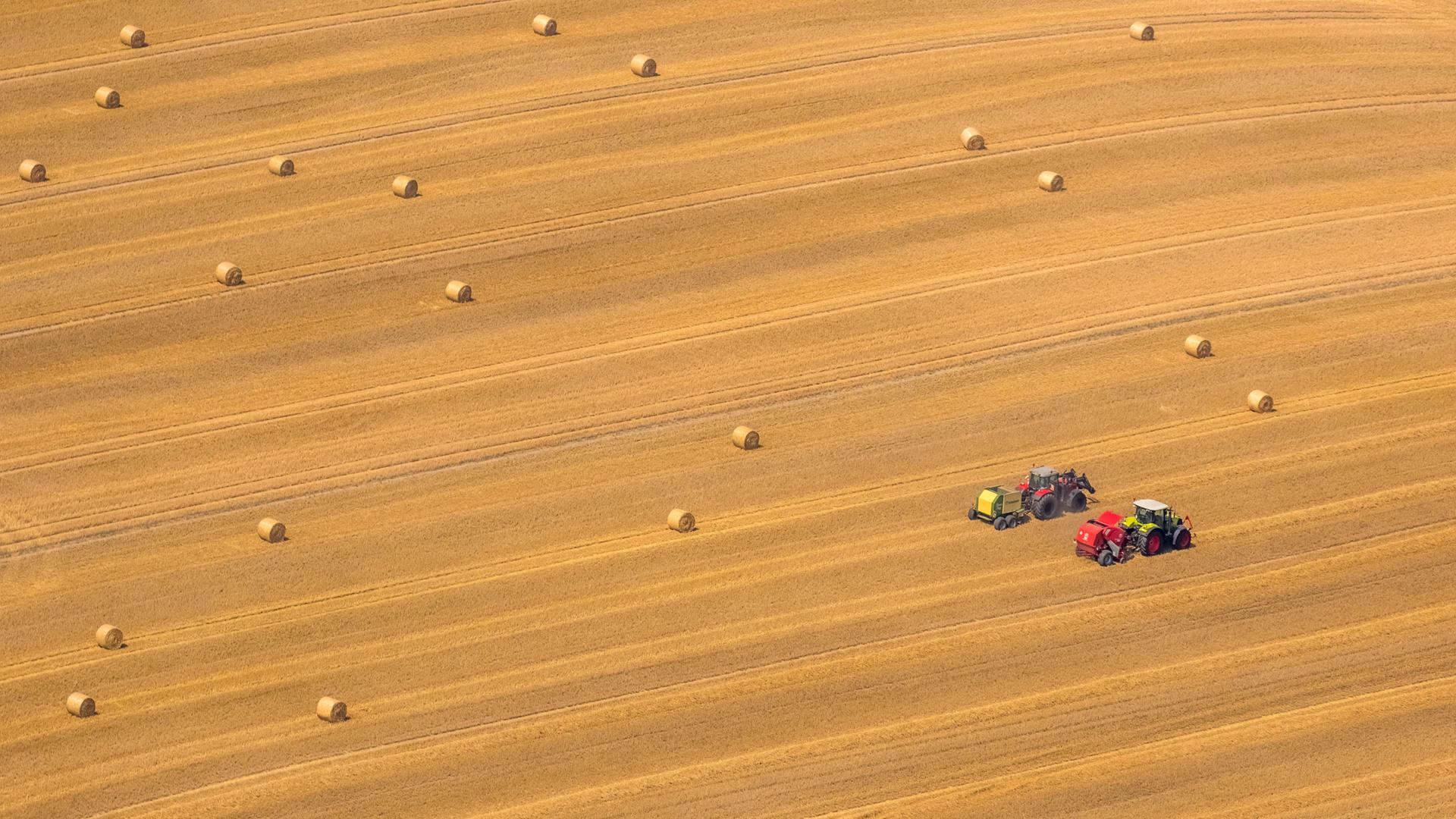 Getreidernte auf Feldern in Neukalen, 27.07.2016, Luftbild, Deutschland, Mecklenburg-Vorpommern