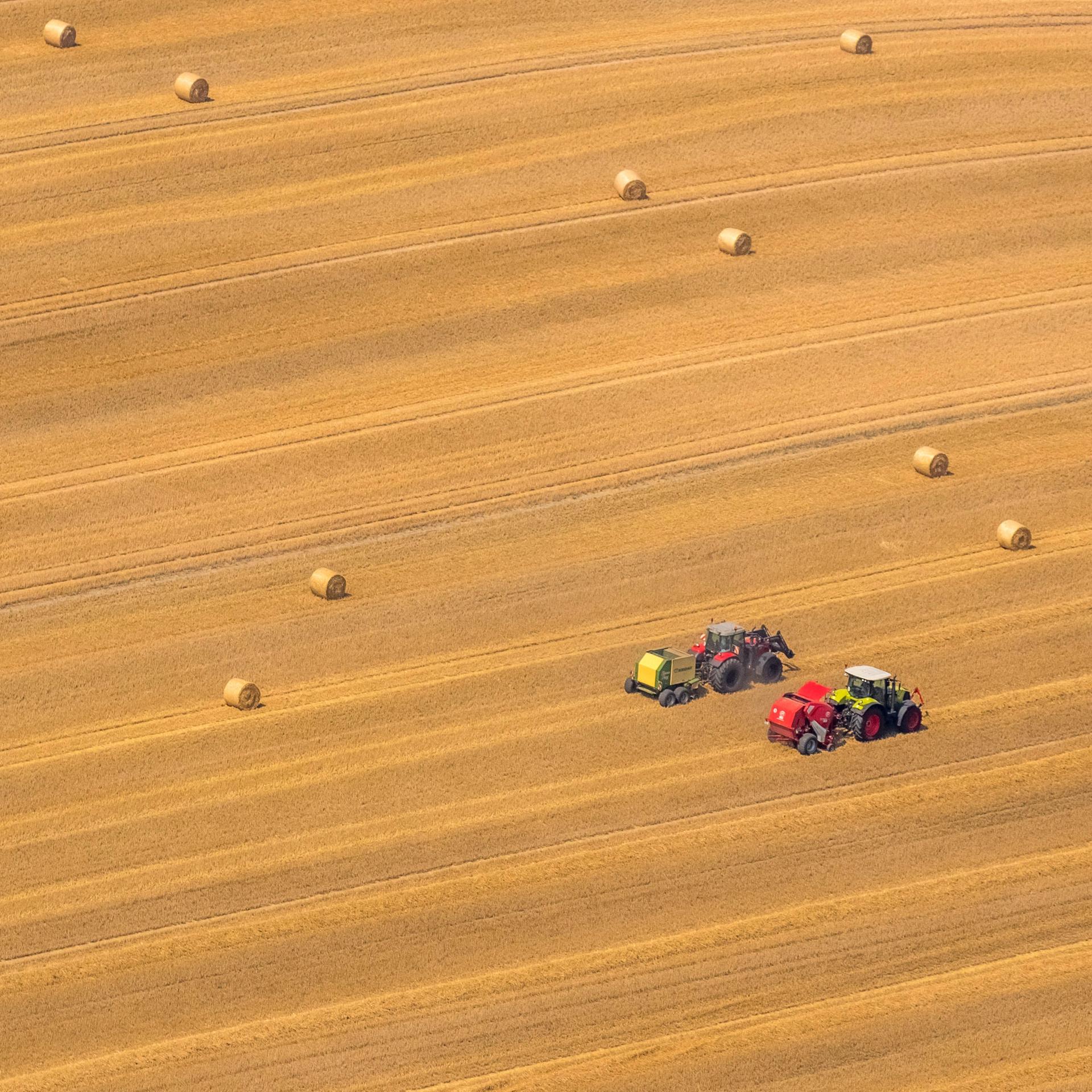Getreidernte auf Feldern in Neukalen, 27.07.2016, Luftbild, Deutschland, Mecklenburg-Vorpommern