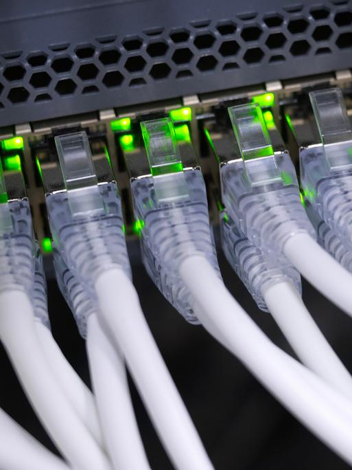 Nahaufnahme eines Netzwerkgeräts in einem Serverschrank: Mehrere dicke, weiße Netzwerkkabel sind nebeneinander in Anschlüsse eingesteckt, über denen zahlreiche grüne Kontrollleuchten blinken Nahaufnahme eines Netzwerkgeräts in einem Serverschrank: Mehrere dicke, weiße Netzwerkkabel sind nebeneinander in Anschlüsse eingesteckt, über denen zahlreiche grüne Kontrollleuchten blinken