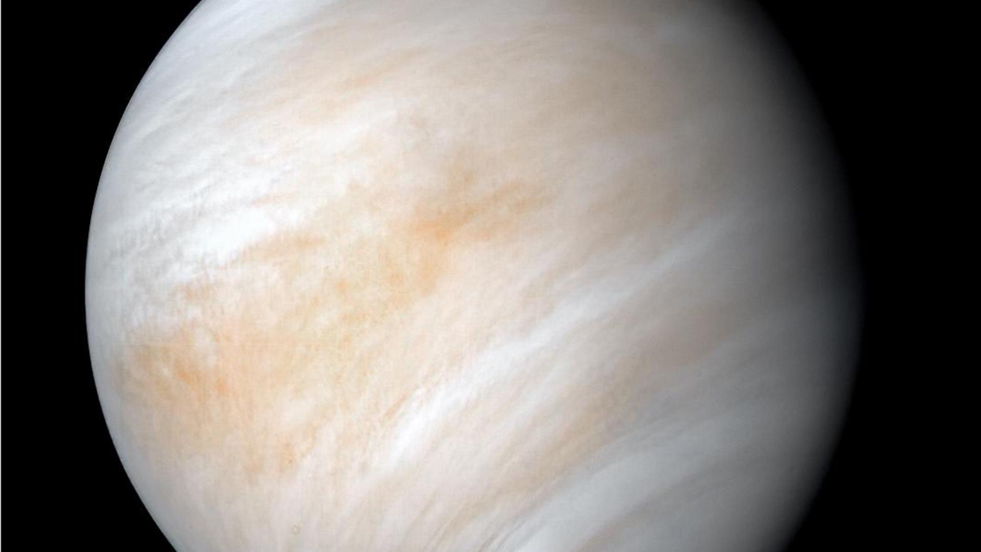 Die Venus auf einer Aufnahme der NASA