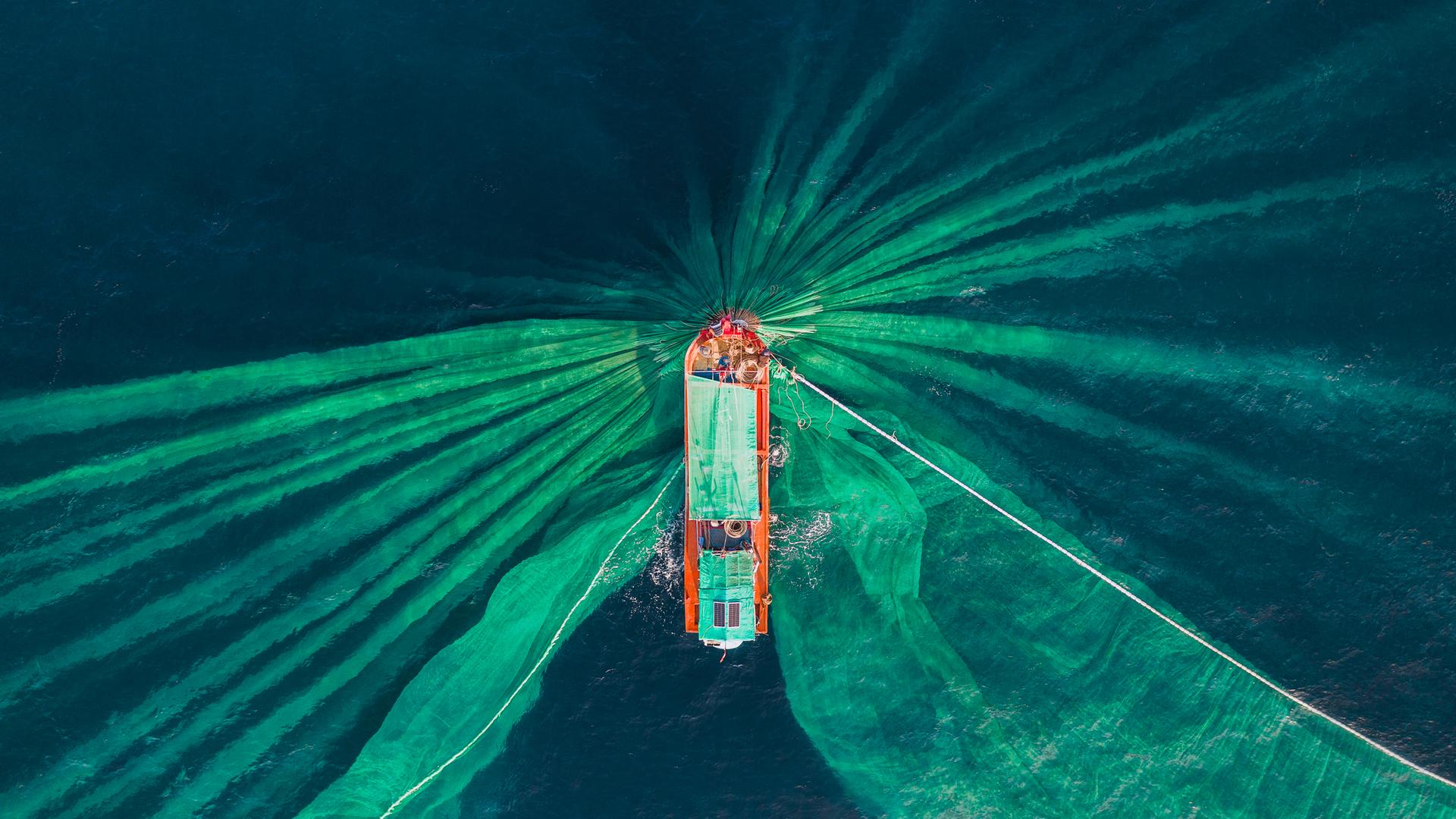 Drohnenfoto mit Blick auf einen Fischtrawler beim Sardellenfang. Aus der Vogelperspektive sind die Netze deutlich im Wasser zu erkennen. 
