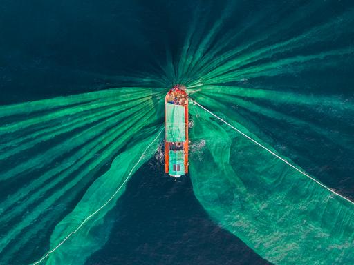 Drohnenfoto mit Blick auf einen Fischtrawler beim Sardellenfang. Aus der Vogelperspektive sind die Netze deutlich im Wasser zu erkennen. 
