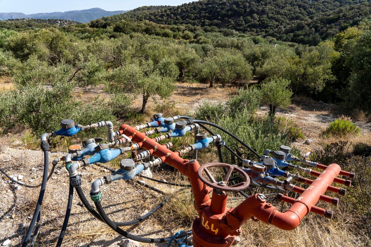 Wasserversorgung in einer Olivenbaum-Plantage auf Kreta. Von einer Hauptleitung führen mehrere Schlauchleitungen zu den jeweiligen Plantagen ab.