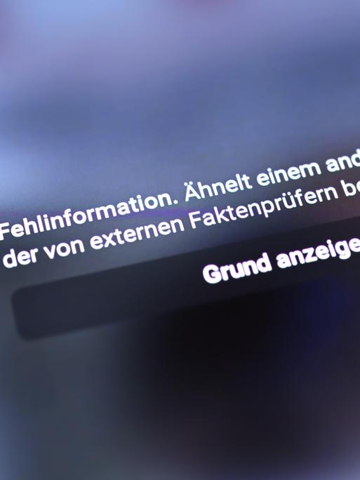 Ein Hinweis auf Fehlinformation durch Faktenprüfung auf Facebook