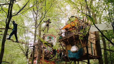 Baumhäuser mit Aktivisten in den Bäumen im Hambacher Forst