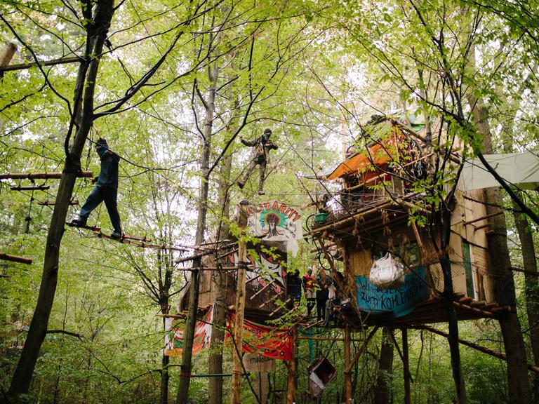 Baumhäuser mit Aktivisten in den Bäumen im Hambacher Forst
