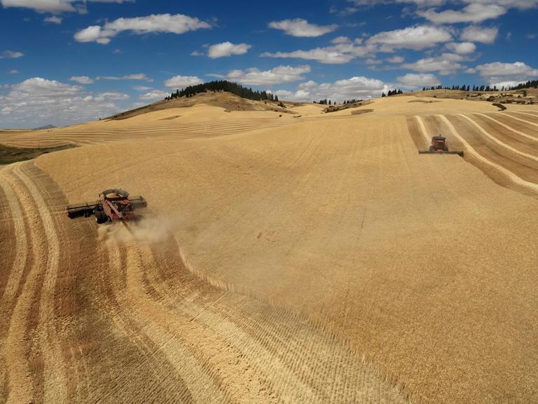 Weizenfelder und Erntemaschinenin Washington State, USA