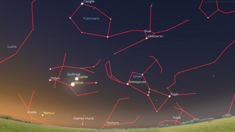 Winterlicher Vorbote in sommerlicher Morgendämmerung: Das Sternbild Orion ist wieder da – begleitet von den hellen Planeten Venus, Jupiter und Merkur. 