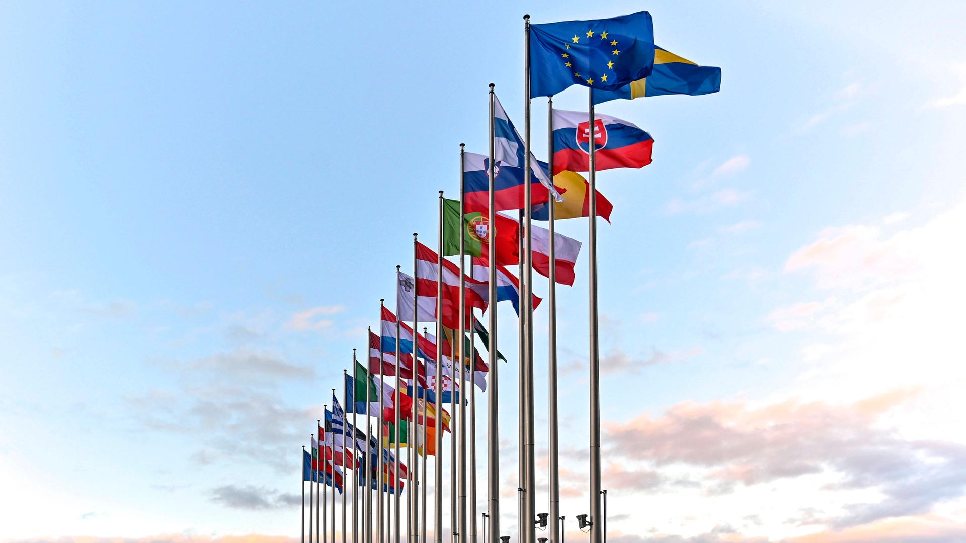 Die Flaggen der EU-Mitgliedsländer wehen im Wind.